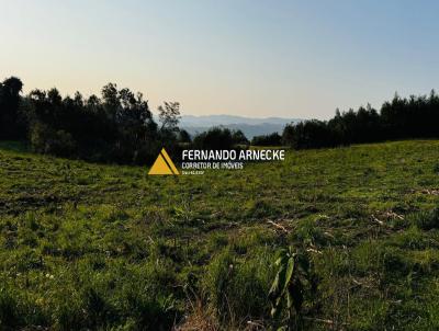 Stio / Chcara para Venda, em Santa Maria do Herval, bairro Padre Eterno Ilges