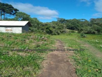 Chcara para Venda, em Bom Repouso, bairro 