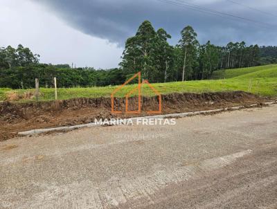 Terreno para Venda, em Vitor Meireles, bairro Centro
