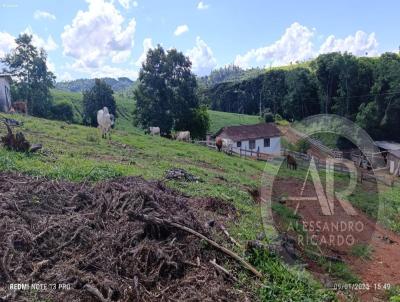 Chcara para Venda, em Ponta Grossa, bairro Itaiacoca, 2 dormitrios, 1 banheiro