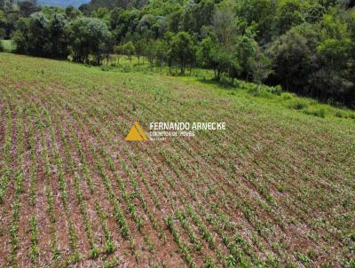 Stio / Chcara para Venda, em Igrejinha, bairro Serra Grande