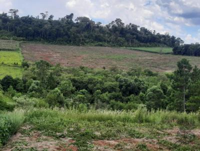 rea Rural para Venda, em Nova Laranjeiras, bairro Zona Rural