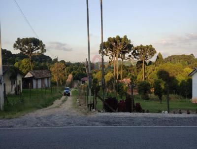 Chcara para Venda, em Araucria, bairro Rio Abaixinho