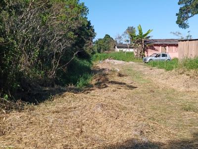 Terreno em Praia para Venda, em Matinhos, bairro Balnerio Saint Etiene