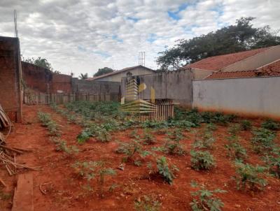 Terreno para Venda, em So Jos do Rio Preto, bairro Jardim Urups