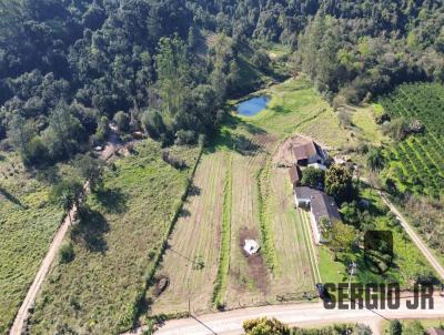 Stio / Chcara para Venda, em Montenegro, bairro rea rural