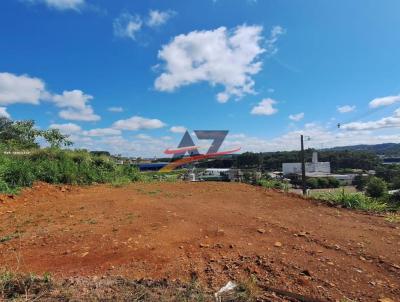 Terreno para Venda, em Francisco Beltro, bairro AGUA BCA