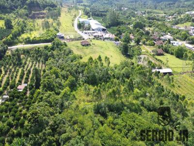 Stio / Chcara para Venda, em Pareci Novo, bairro rea rural, 1 dormitrio, 1 banheiro