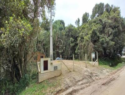 Terreno Urbano para Venda, em Bombinhas, bairro Mariscal