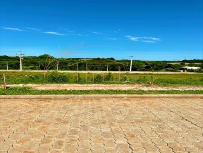 Terreno para Venda, em Iju, bairro Jardim