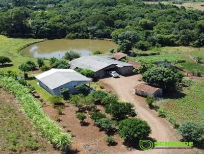 Chcara para Venda, em Esperana do Sul, bairro 