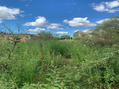 Terreno para Venda, em Santana do Livramento, bairro Parque So Jos