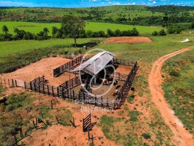 Fazenda para Venda, em , bairro Centro