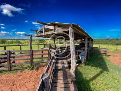 Fazenda para Venda, em Santa Rita do Pardo, bairro Centro