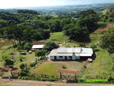 Chcara para Venda, em Tiradentes do Sul, bairro interior