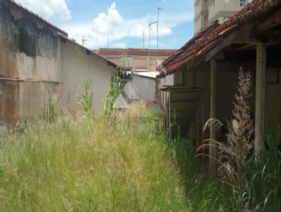 Terreno para Venda, em Jaboticabal, bairro Centro