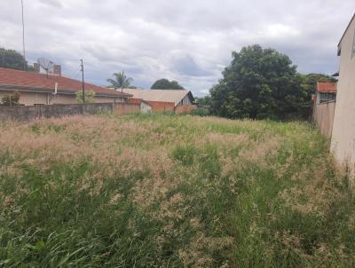 Terreno para Venda, em Paulnia, bairro Jardim Vista Alegre