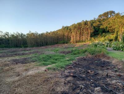 Stio / Chcara para Venda, em Morro Reuter, bairro So Jos do Herval