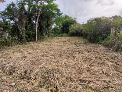 Terreno para Venda, em Itanham, bairro Jardim Fenix