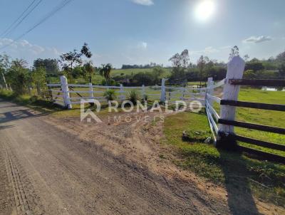 Chcara para Venda, em Araric, bairro Campo da Brazina, 3 dormitrios, 1 banheiro, 1 vaga