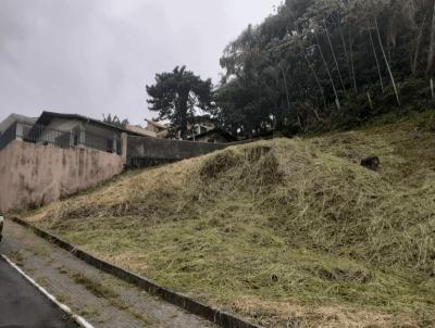 Terreno para Venda, em Barra Velha, bairro Centro, 1 banheiro