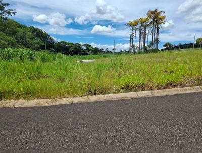 Terreno em Condomnio para Venda, em lvares Machado, bairro CONDOMINIO RESIDENCIAL VALENCIA lll