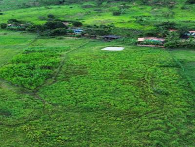 Fazenda para Venda, em Itanhomi, bairro Volta Grande