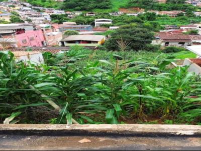 Lote para Venda, em Itanhomi, bairro Rua Olmpio Pequeno