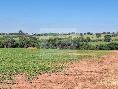 Stio para Venda, em Potirendaba, bairro Zona Rural