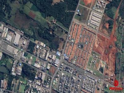 Terreno para Venda, em Cachoeirinha, bairro Distrito Industrial