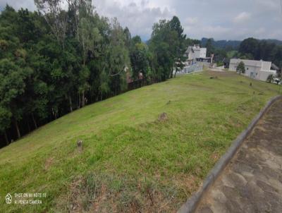 Terreno para Venda, em So Bento do Sul, bairro Centenrio