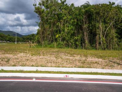 Terreno Urbano para Venda, em So Jos, bairro Forquilhas