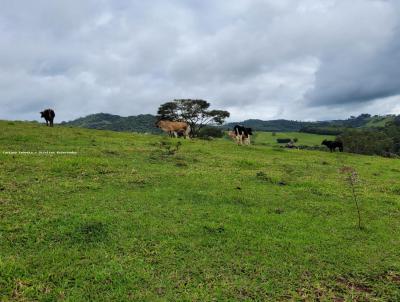 rea Rural para Venda, em Joanpolis, bairro rea Rural