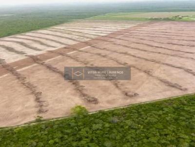 Fazenda para Venda, em Cocal, bairro 