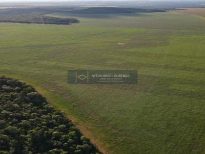 Fazenda para Venda, em Fortaleza do Taboco, bairro 