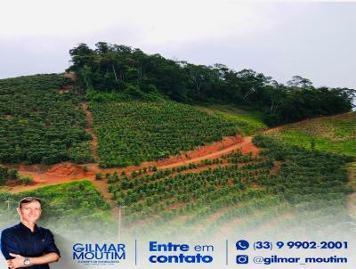Lote para Venda, em Imb de Minas, bairro Crrego dos Incios/Grapolis