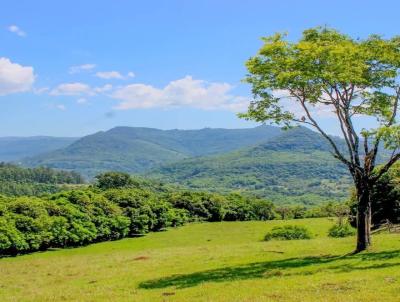 Stio para Venda, em Trs Coroas, bairro 