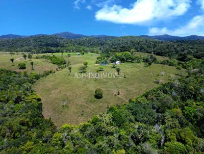 Stio para Venda, em Uruuca, bairro Serra Grande (Uruuca)