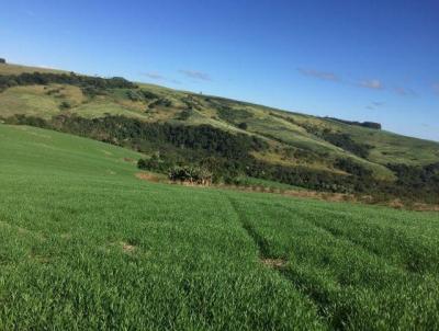Fazenda para Venda, em Rio Branco do Iva, bairro Zona Rural