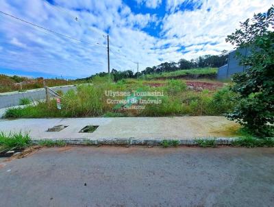 Terreno para Venda, em Bento Gonalves, bairro San Marino IV