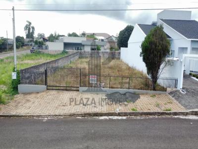 Lote para Venda, em Laranjeiras do Sul, bairro Centro