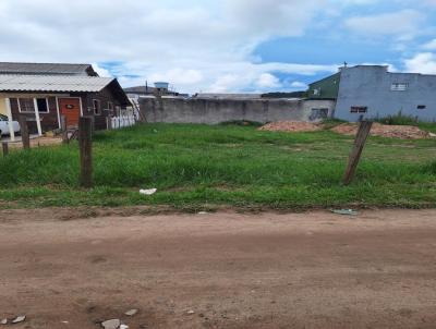 Terreno para Venda, em Florianpolis, bairro So Joo do Rio Vermelho