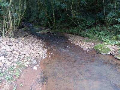 Stio / Chcara para Venda, em Santa Maria do Herval, bairro Vila Nova