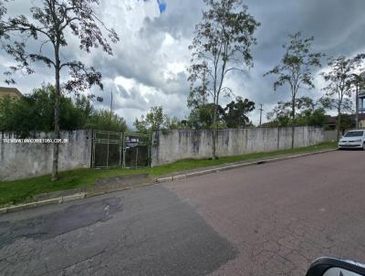 Terreno para Venda, em Pin, bairro CENTRO