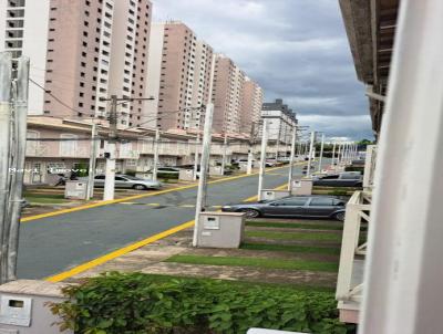 imagem-miniatura