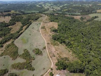 rea Rural para Venda, em Canguu, bairro 2 Distrito