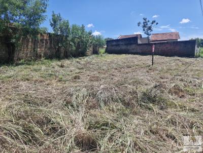 Lote para Venda, em Aparecida de Goinia, bairro Itapo
