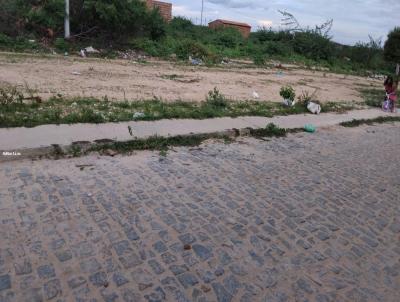 Lote para Venda, em Casa Nova, bairro Santana do Sobrado