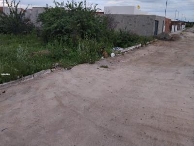 Lote para Venda, em , bairro Santana do Sobrado