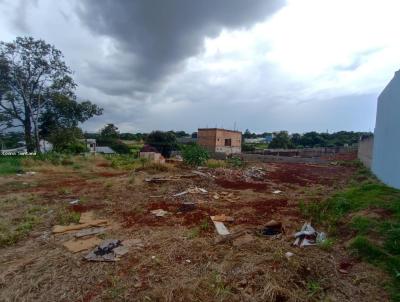 Terreno para Venda, em Cascavel, bairro Santa Cruz